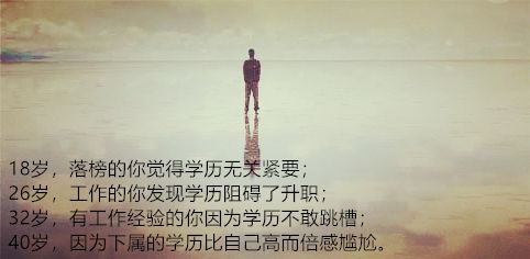 网络教育